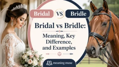 Bridal vs Bridle: Meaning, Key Difference, and Examples
