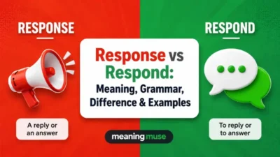Response vs Respond: Meaning, Grammar, Difference & Examples