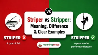 Striper vs Stripper: Meaning, Difference & Clear Examples