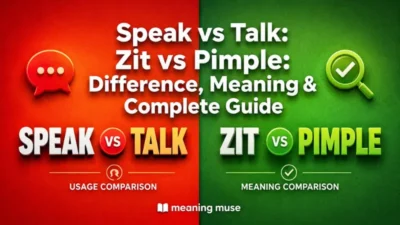 Zit vs Pimple: Difference, Meaning & Complete Guide
